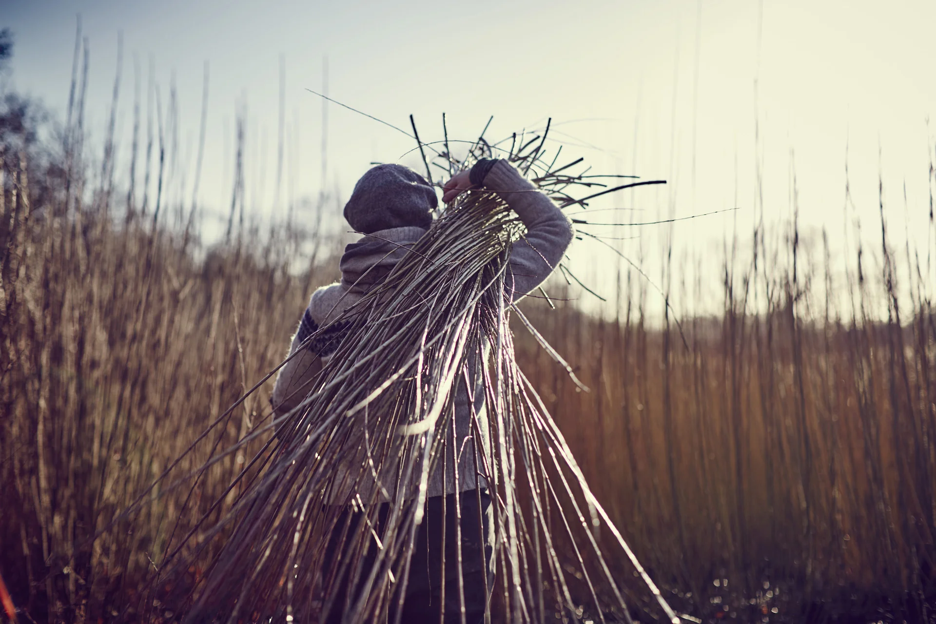 Photo: Alun Callender