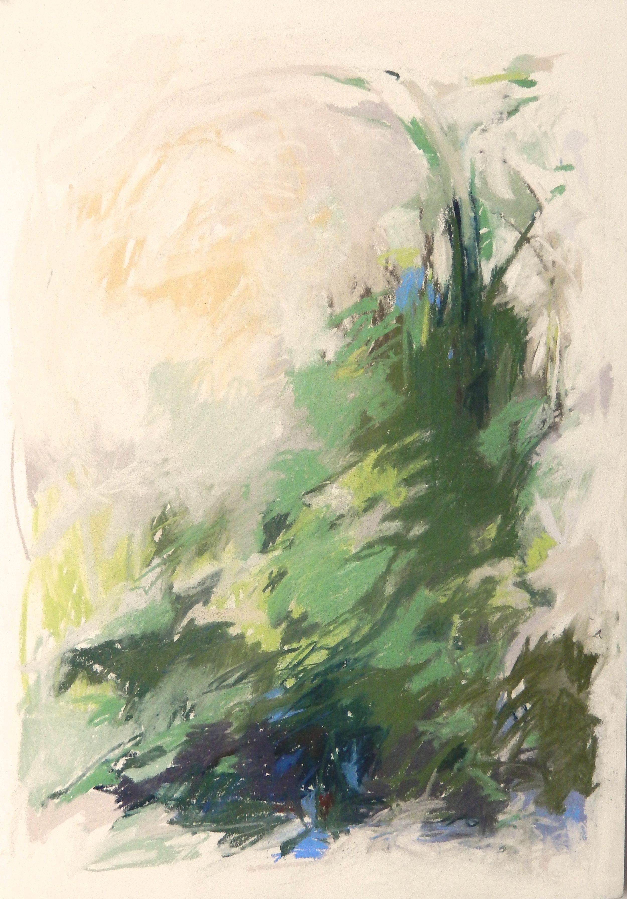 DSCN2281.jpg