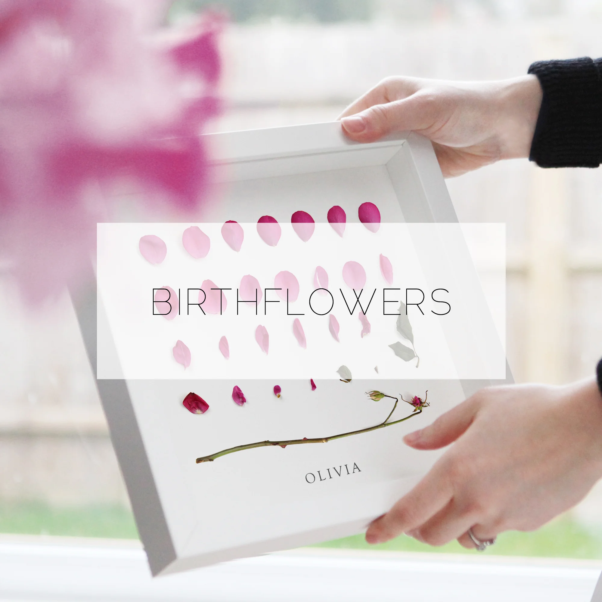 B I R T H F L O W E R S