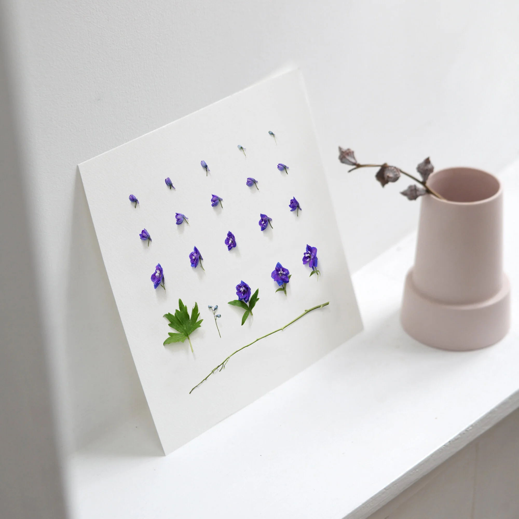Delphinium Birth Flower Print | July Birth Flower | Larkspur Birth Flower | Floral Artwork | Birth Flower Artwork | Birth Flower Gift | Flower Photography