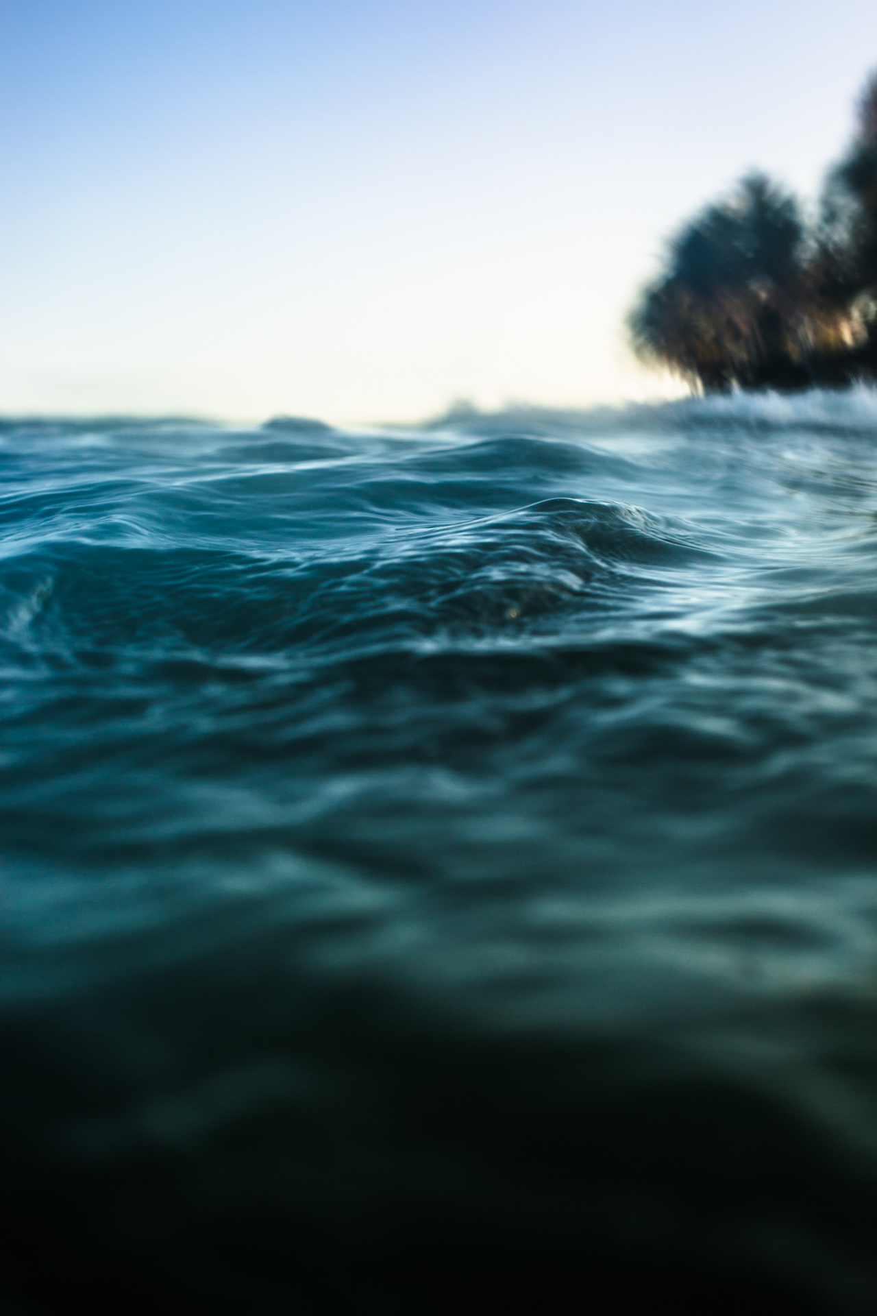 ©quinnbwharton9D9A2437.jpg