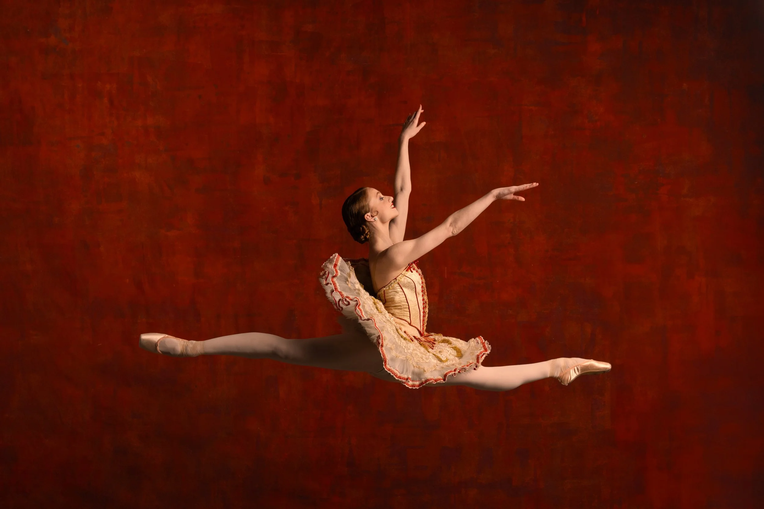 Don Quixote_156.jpg