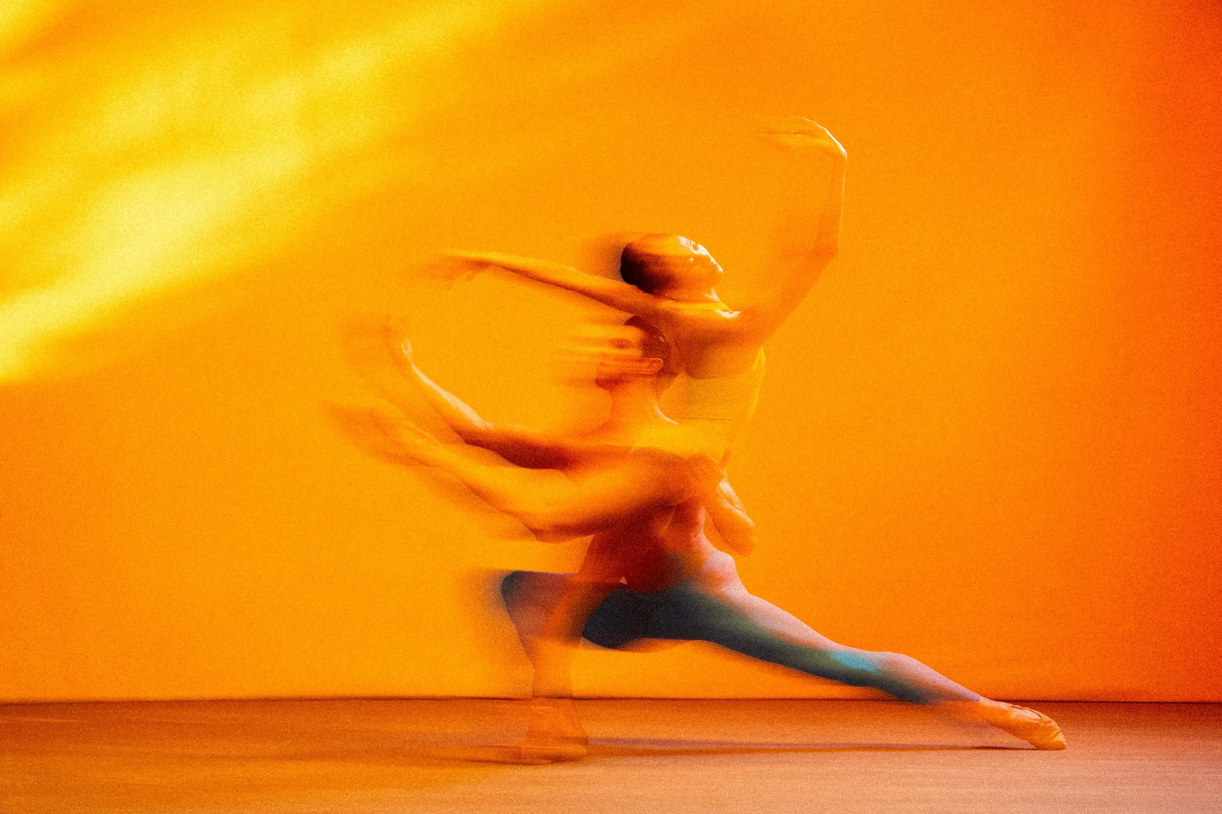 Petal_148.jpg