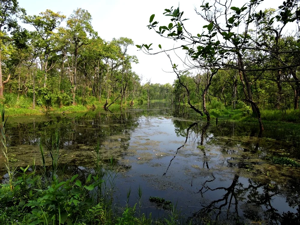 chitwan-lake2.jpg