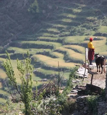 nepal_langtang_villager-next-to-house-terraces-beyond.jpg