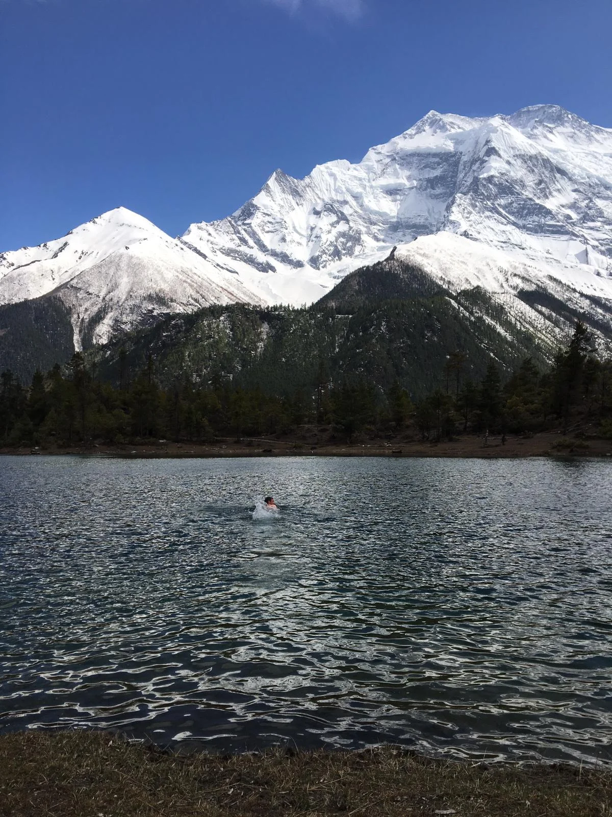 WhatsApp Image 2019-04-11 at 21.44.04.jpeg