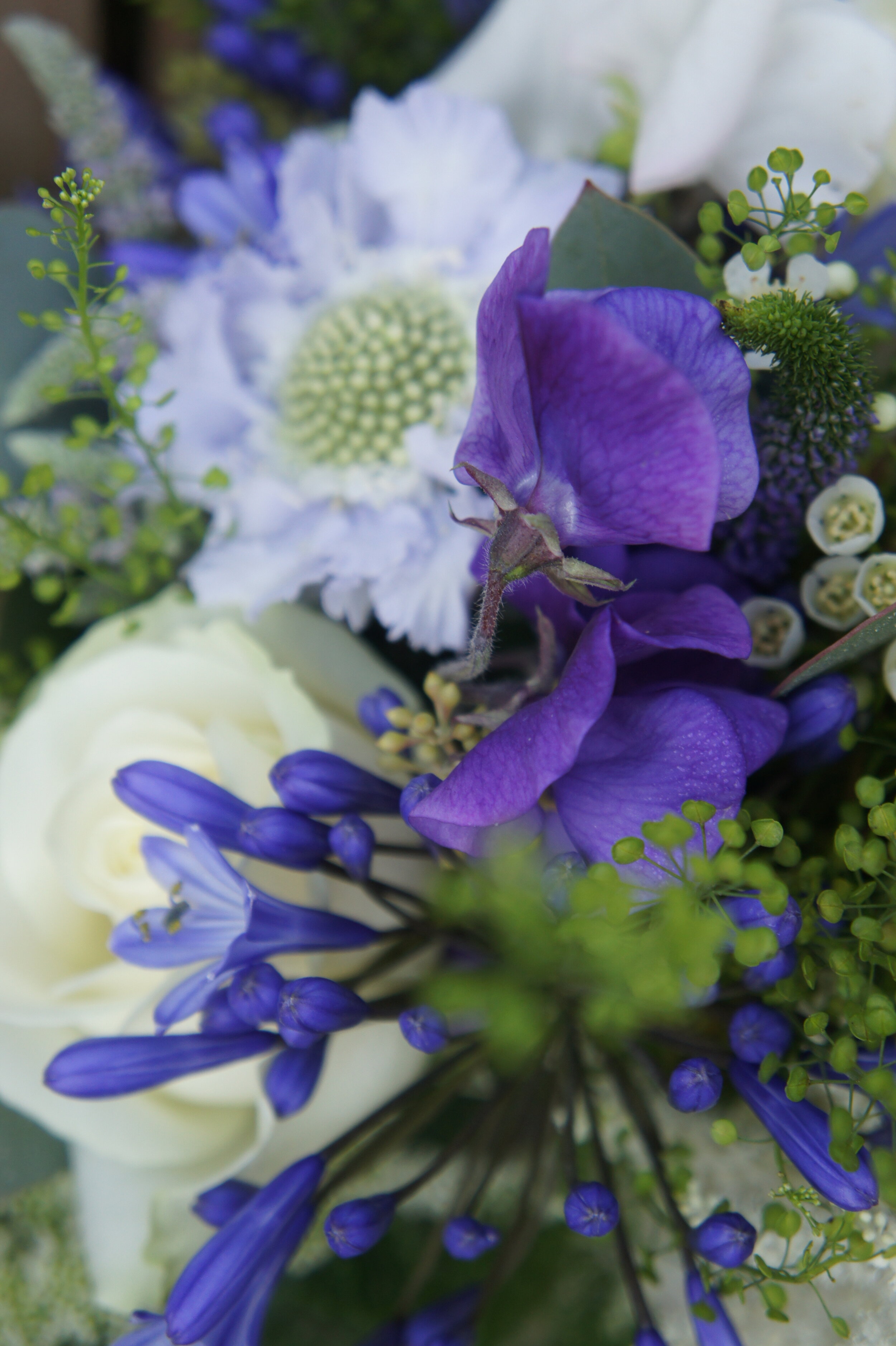 wild flower wedding pantone classic blue (2).JPG