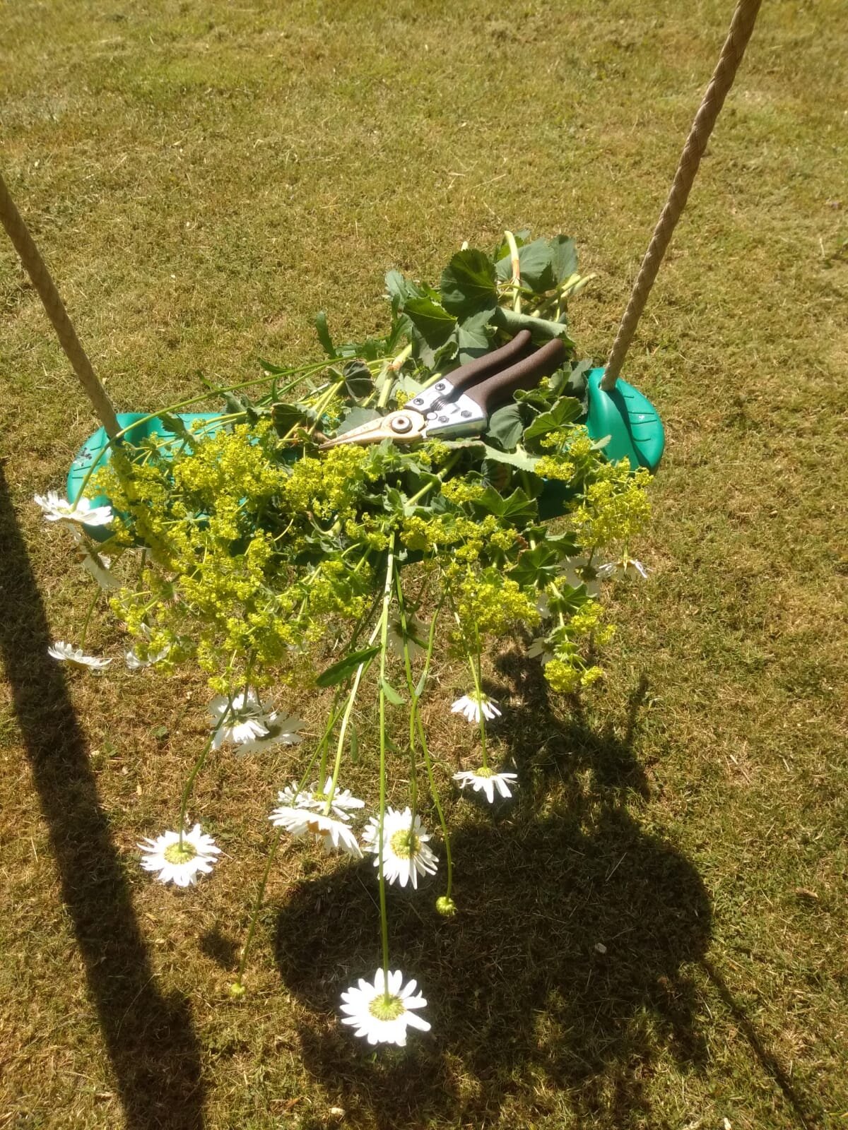 Scottish grown sustainable wedding flowers (4).jpg