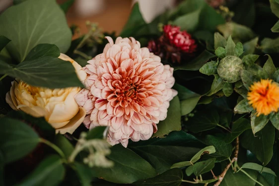 Autumnal rustic micro wedding (4).jpg