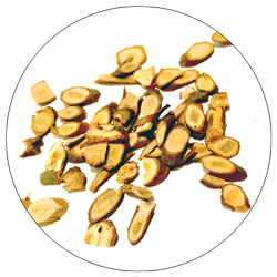 cinnamon-final-circles.png