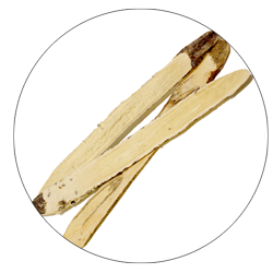sticks-final-circle.png