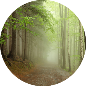 awake-retreat-circle.png