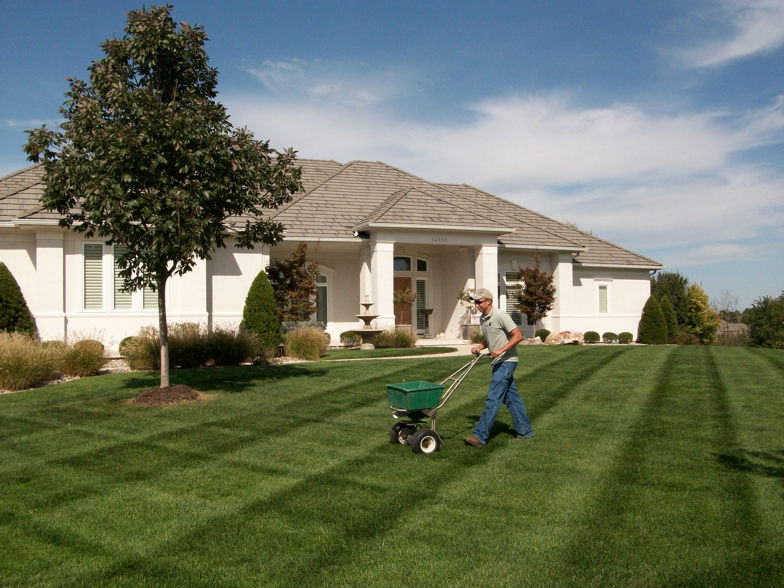 People also use fertilizer to grow grass for green lawns. In fact, grass is the largest crop in America. 