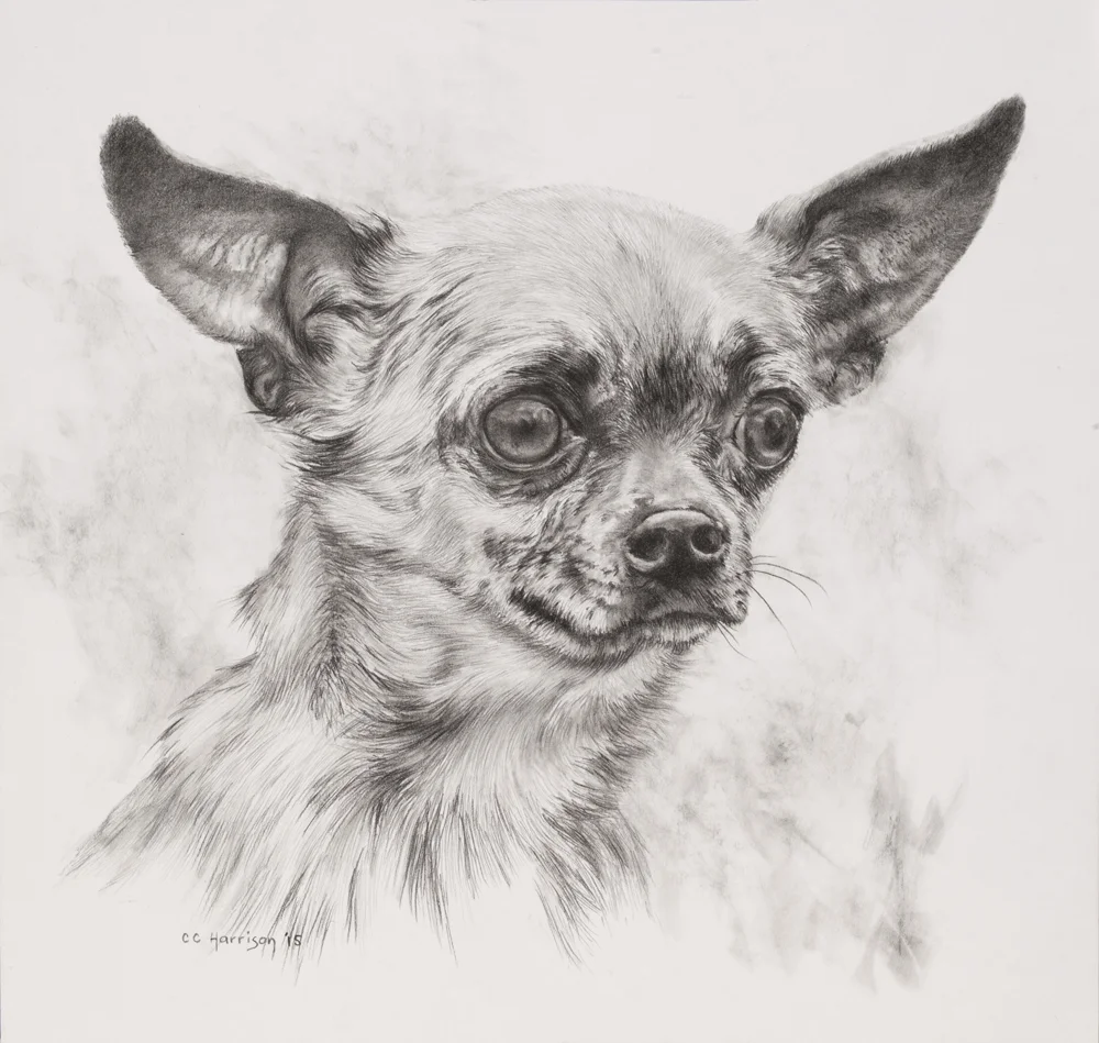 I'm All Ears 555 KB (Low Res).jpg