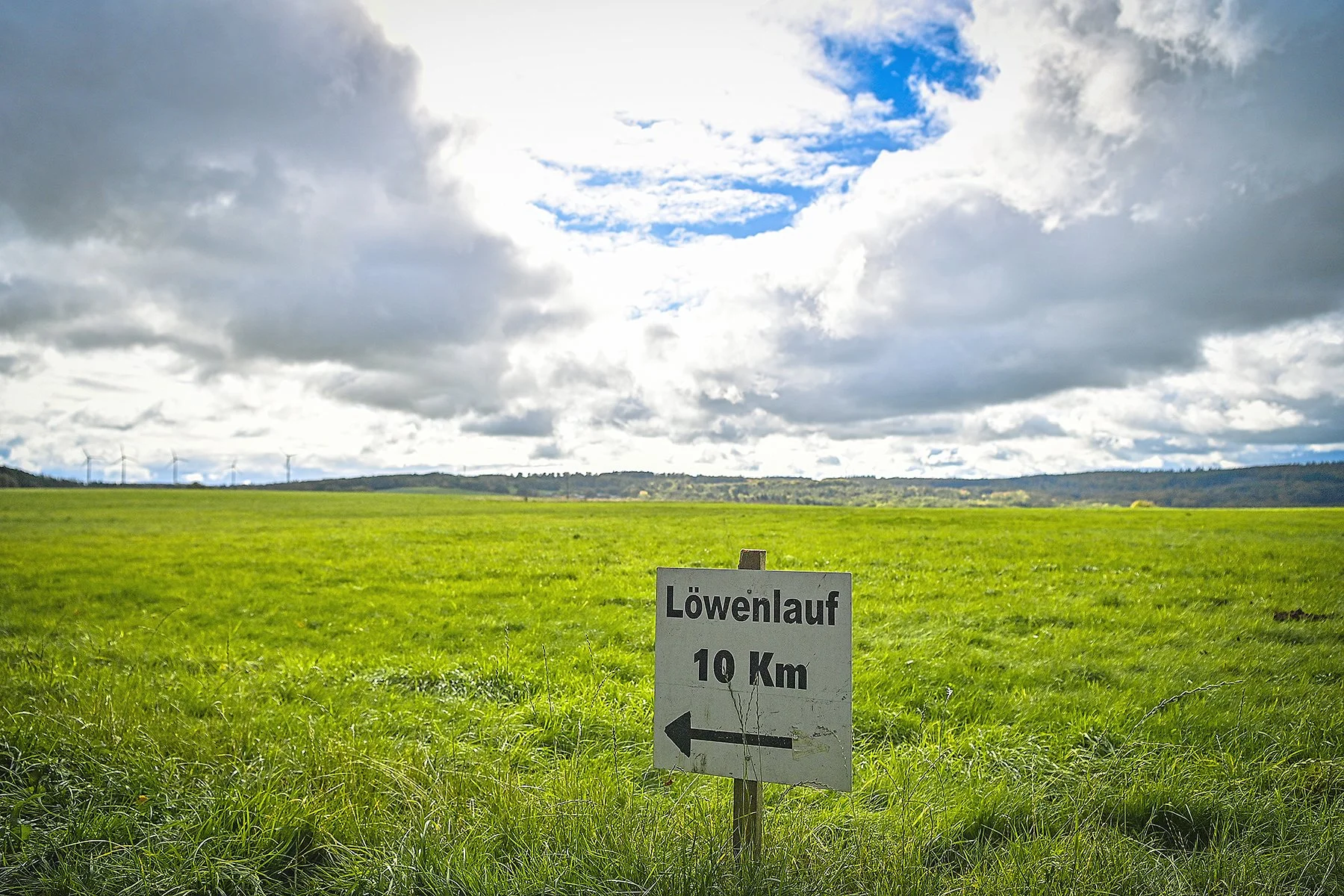 1-Schild Löwenlauf.jpg
