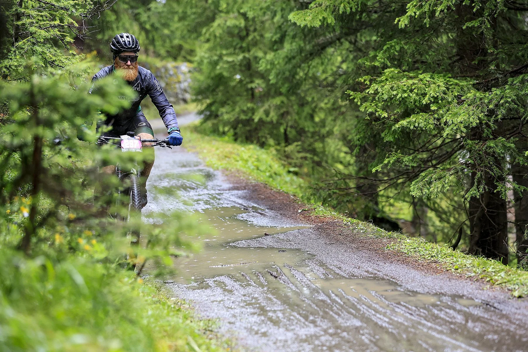 20251009-Alta Homepage 1-bea.jpg