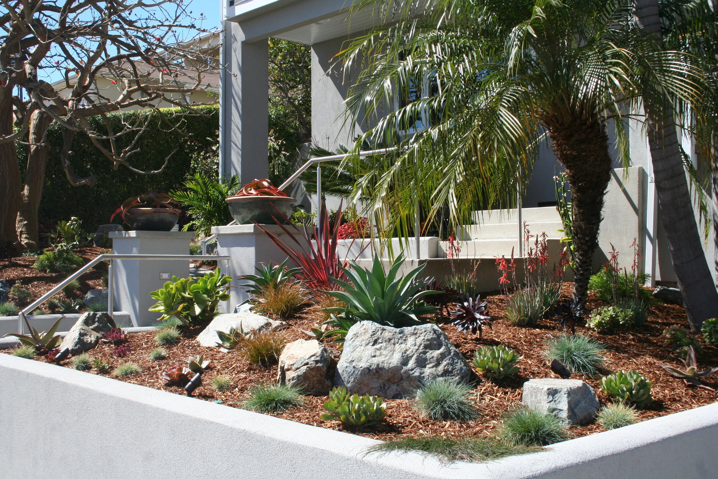 Point Loma Low-Water Garden