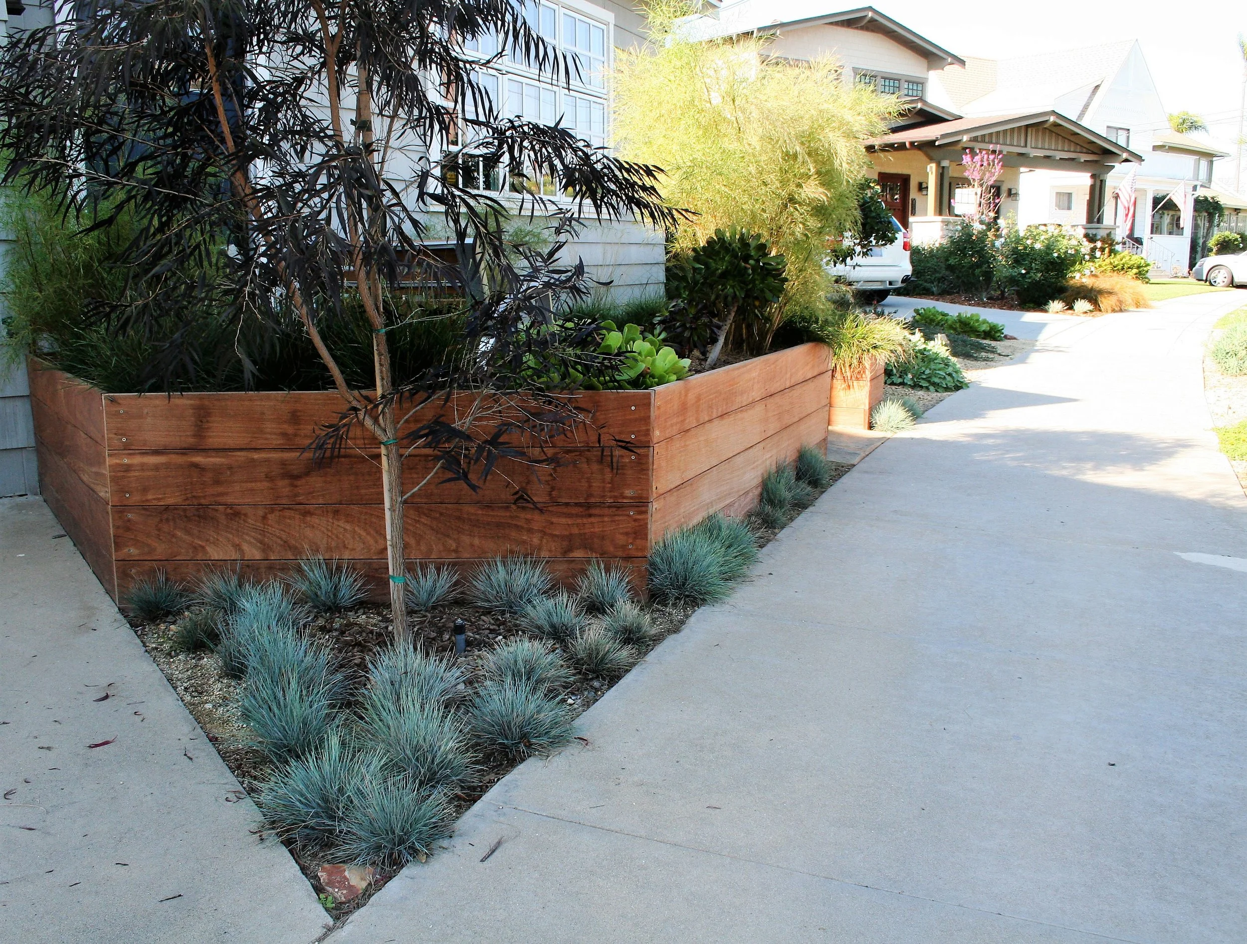 Coronado Lawn Replacement