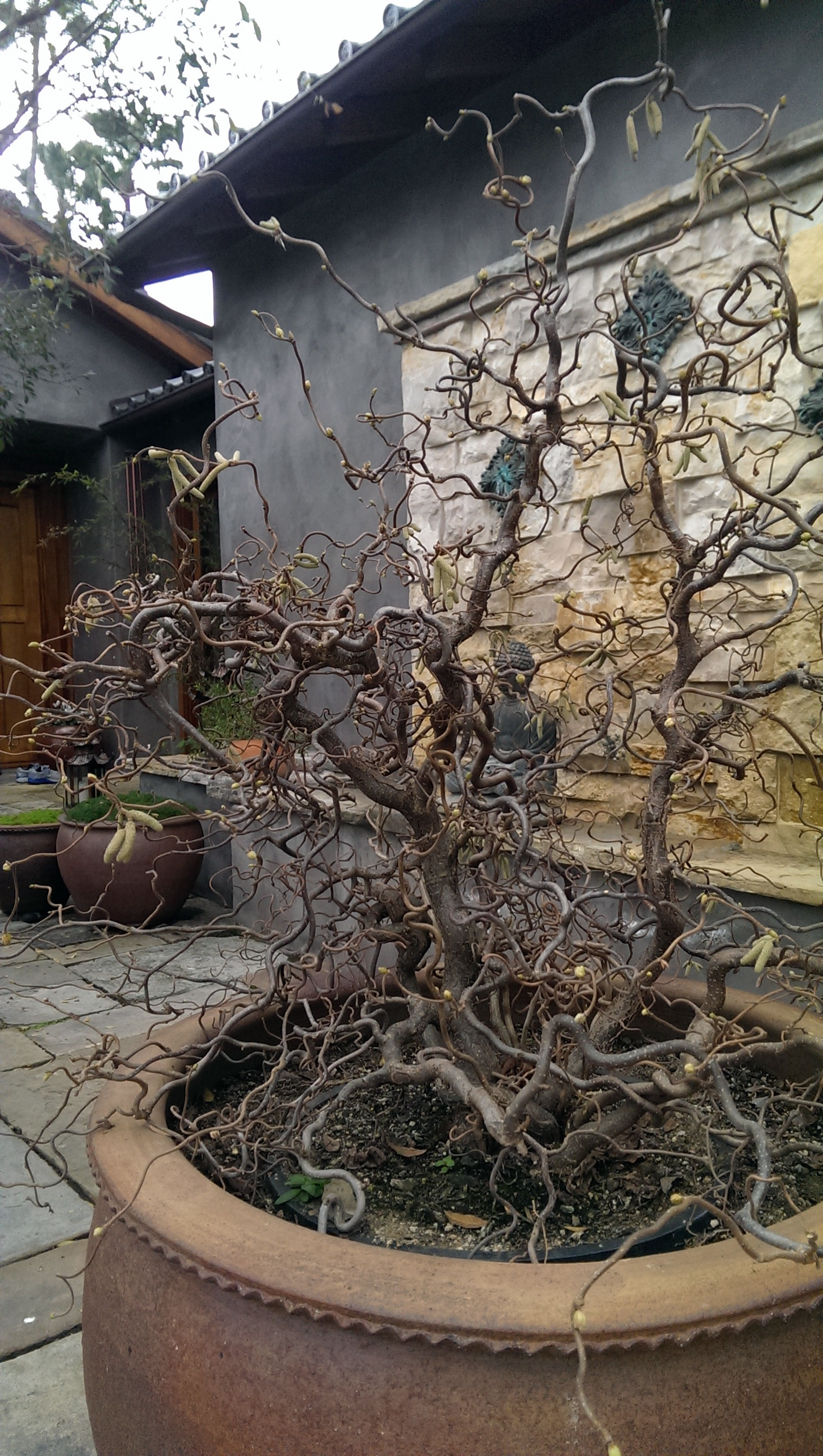English Courtyard