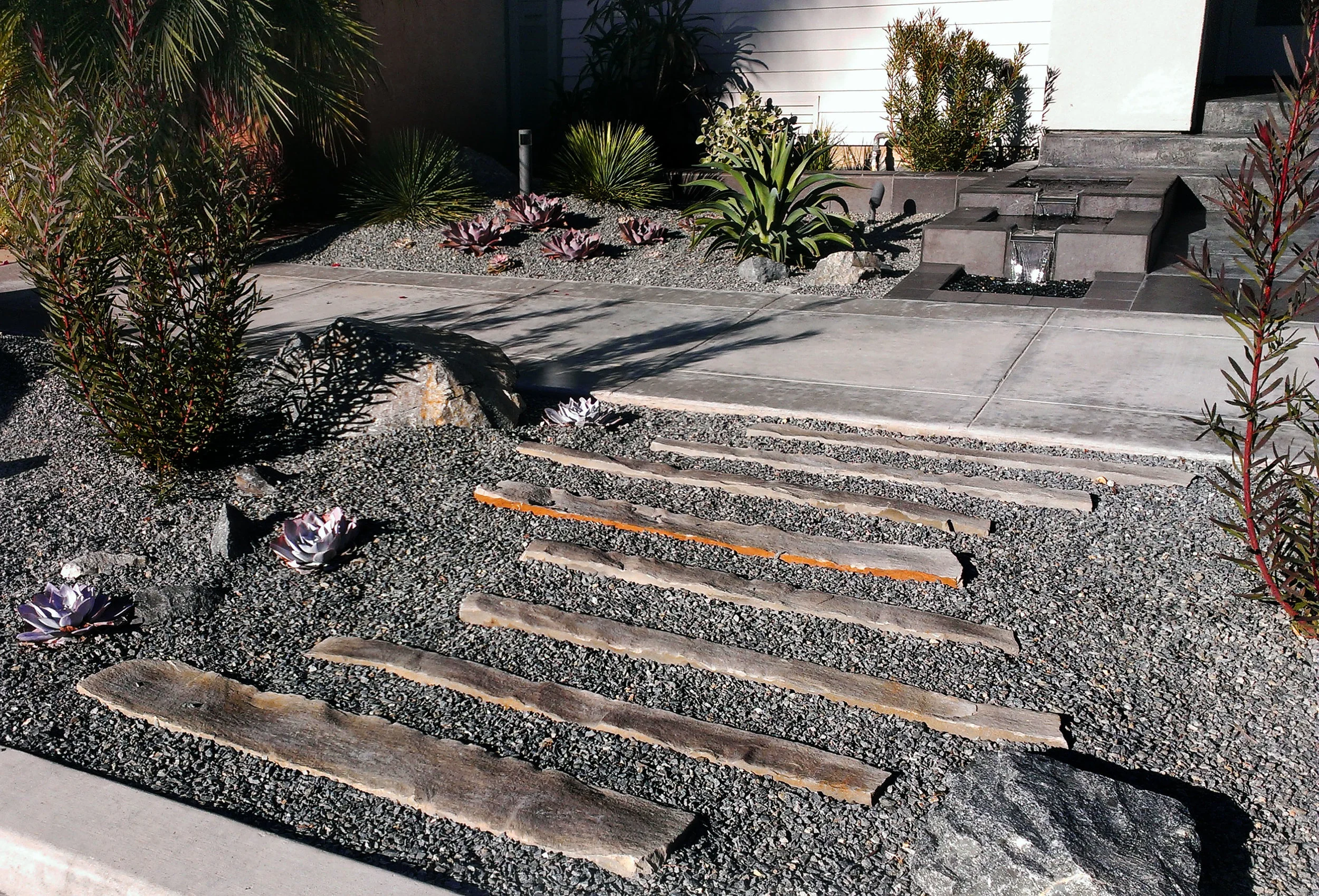Contemporary Xeriscape