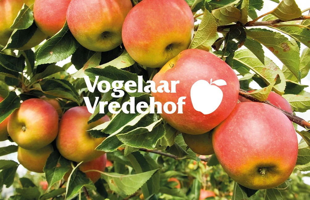 VV_visite_85x55_def22.jpg