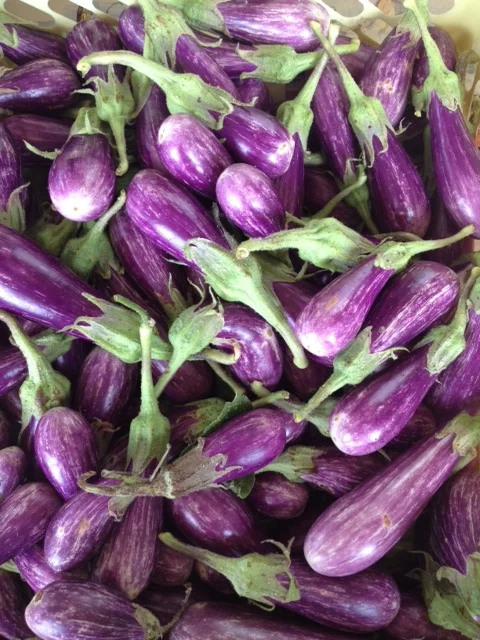 image(8).jpg