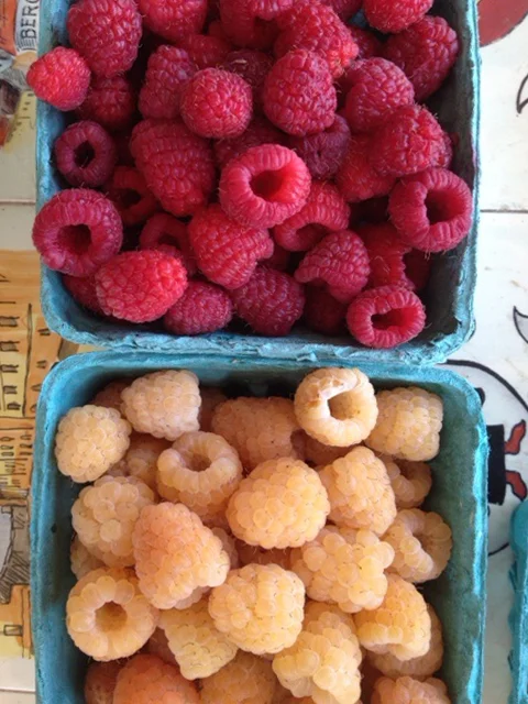 rasp.jpg