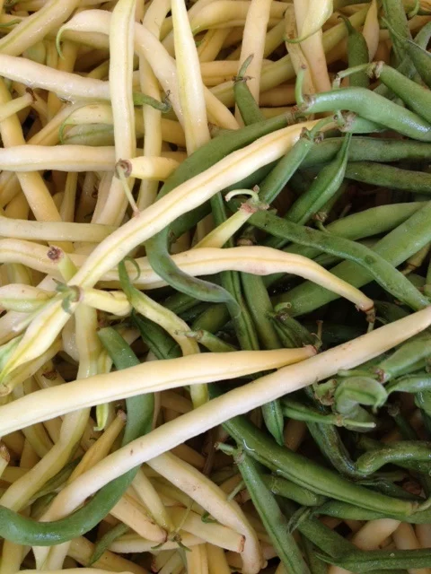 zuchini.jpg
