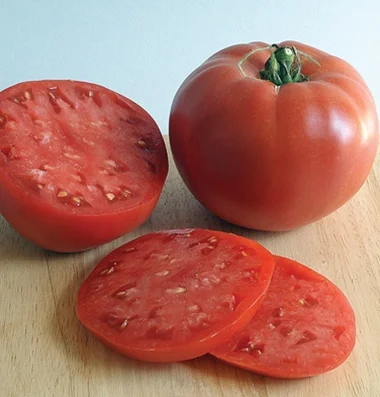 ROSE Large Pink Tomato