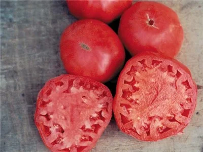PINK BRANDYWINE* Large Pink Tomato