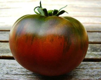 CARBON Medium Black Tomato