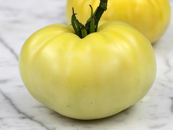 GREAT WHITE Medium Pale Yellow Tomato