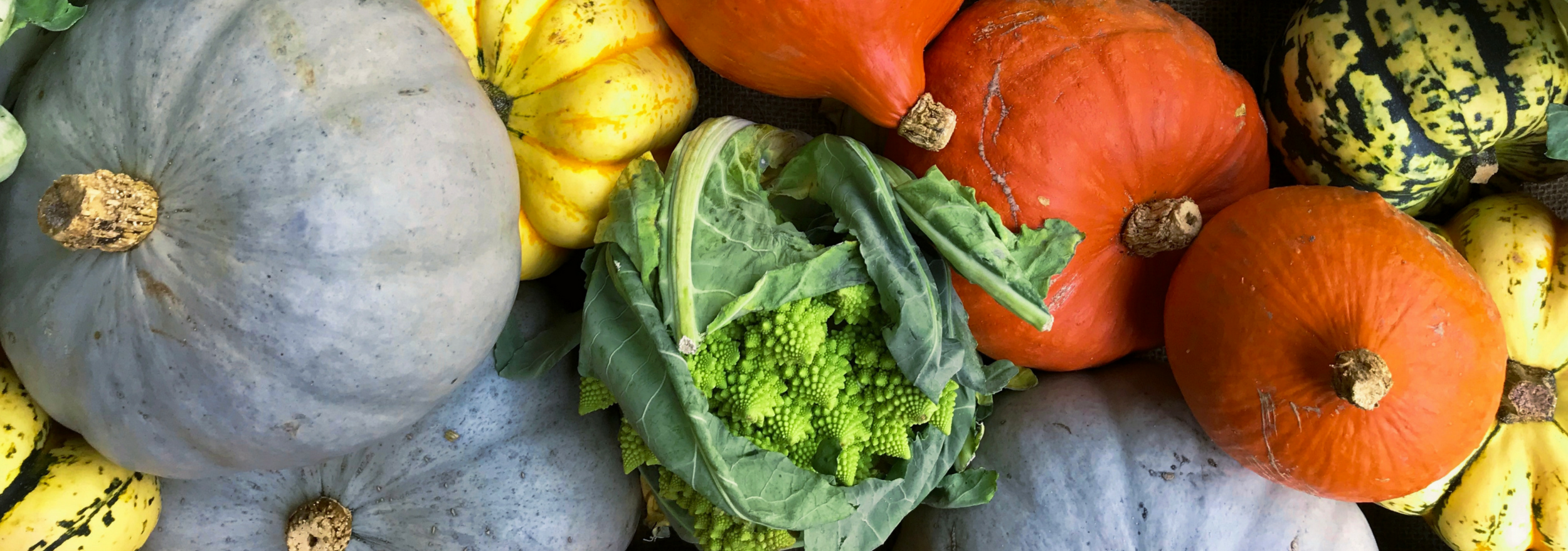 Fall CSA 2018 Signup.png