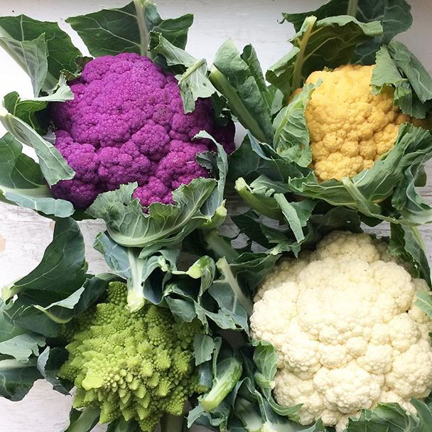 cauli.png