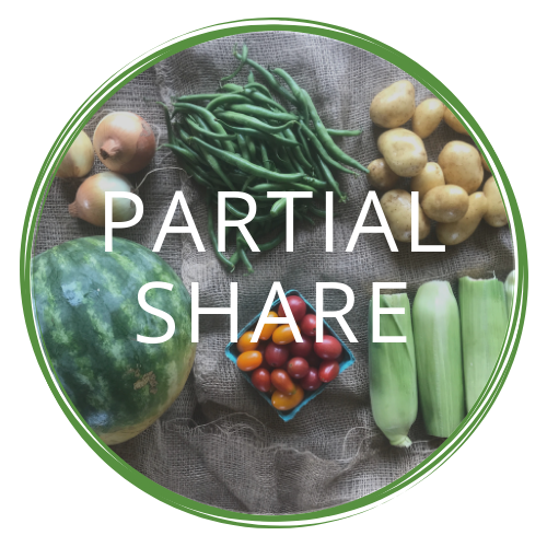 full partial share (21).png