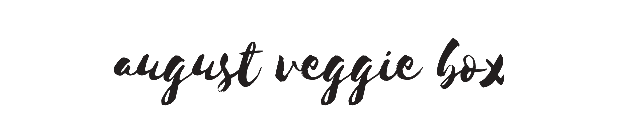 titles banner CSA (1).png