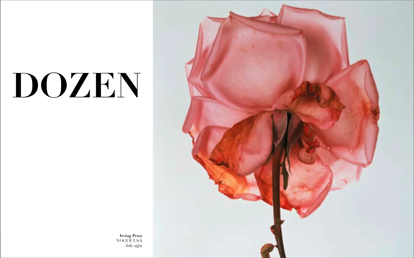 BEAUTY in VOGUE : CREATIVE & COPY CONSULTANT