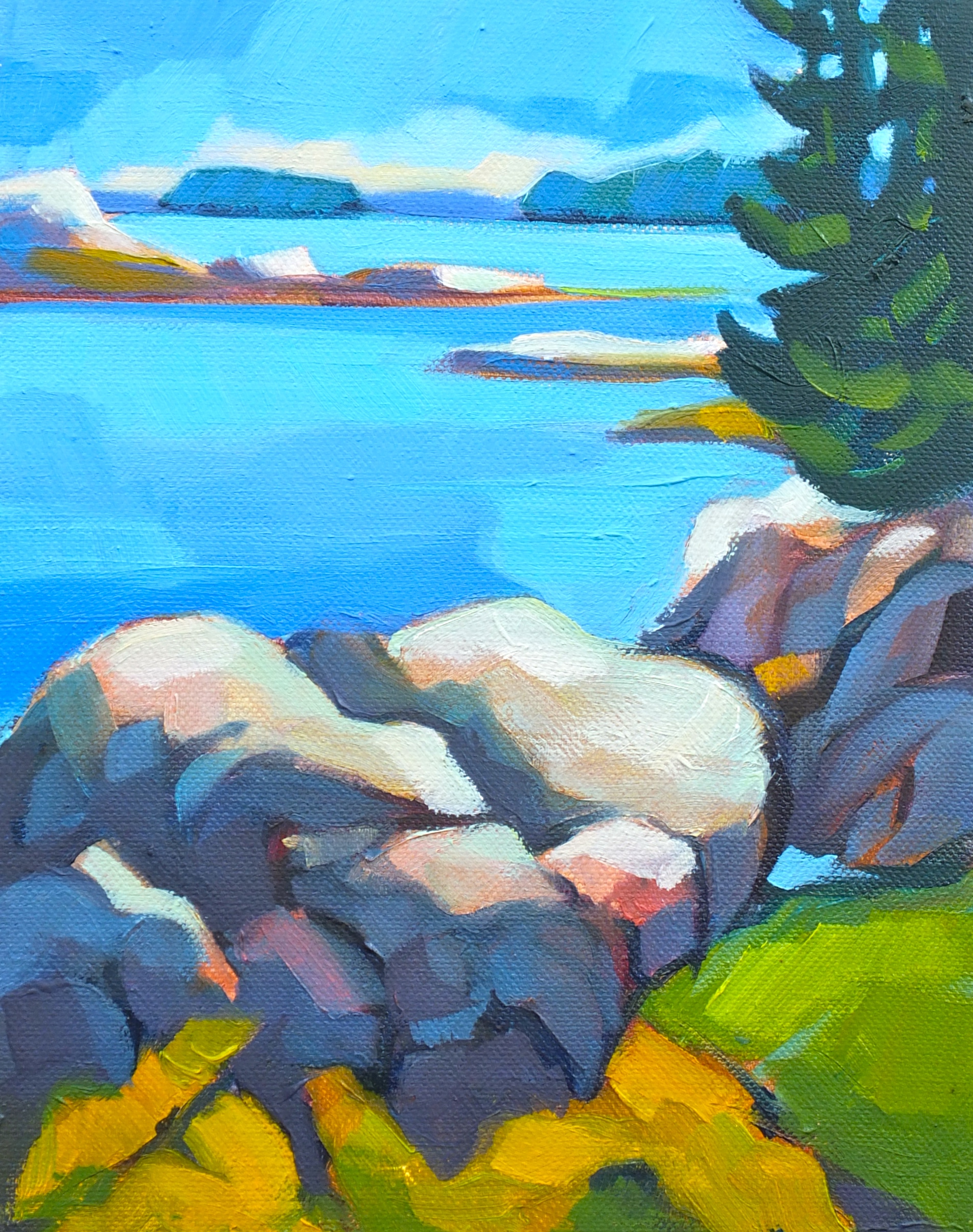 Kayak Cove