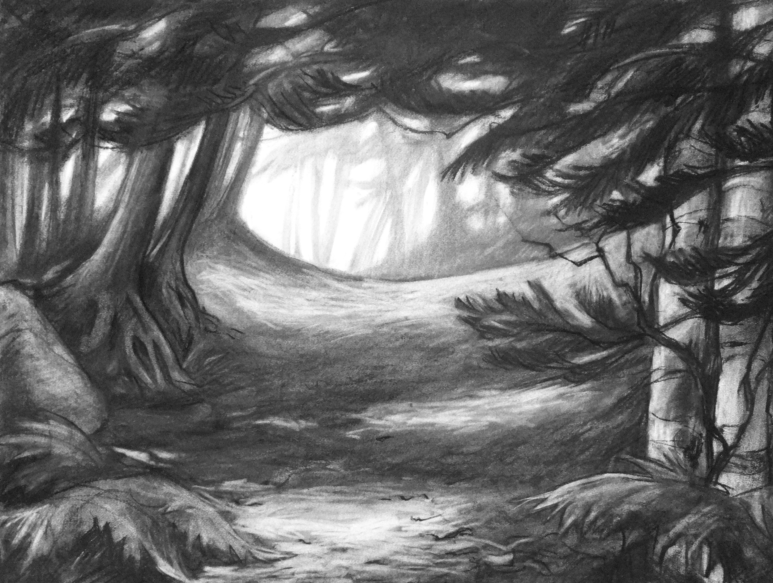 Into the Woods