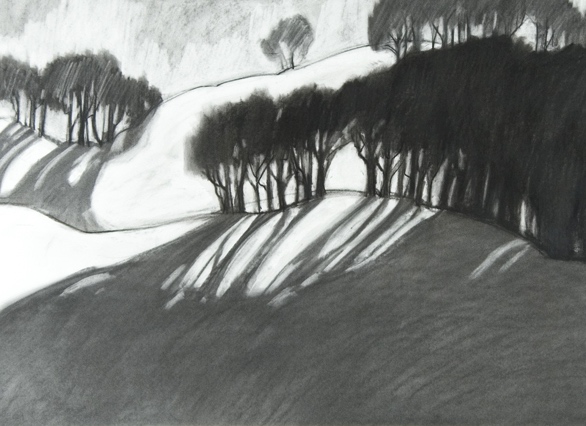 Tunbridge Trees
