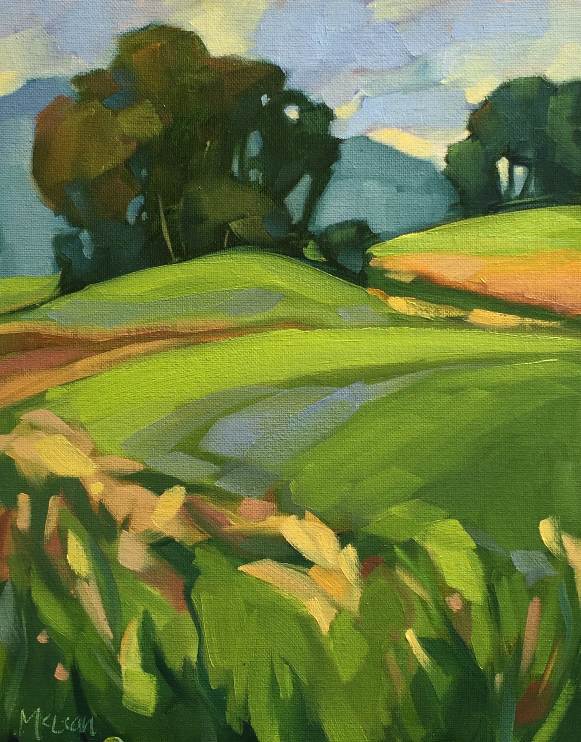 Copse in the Hay Field