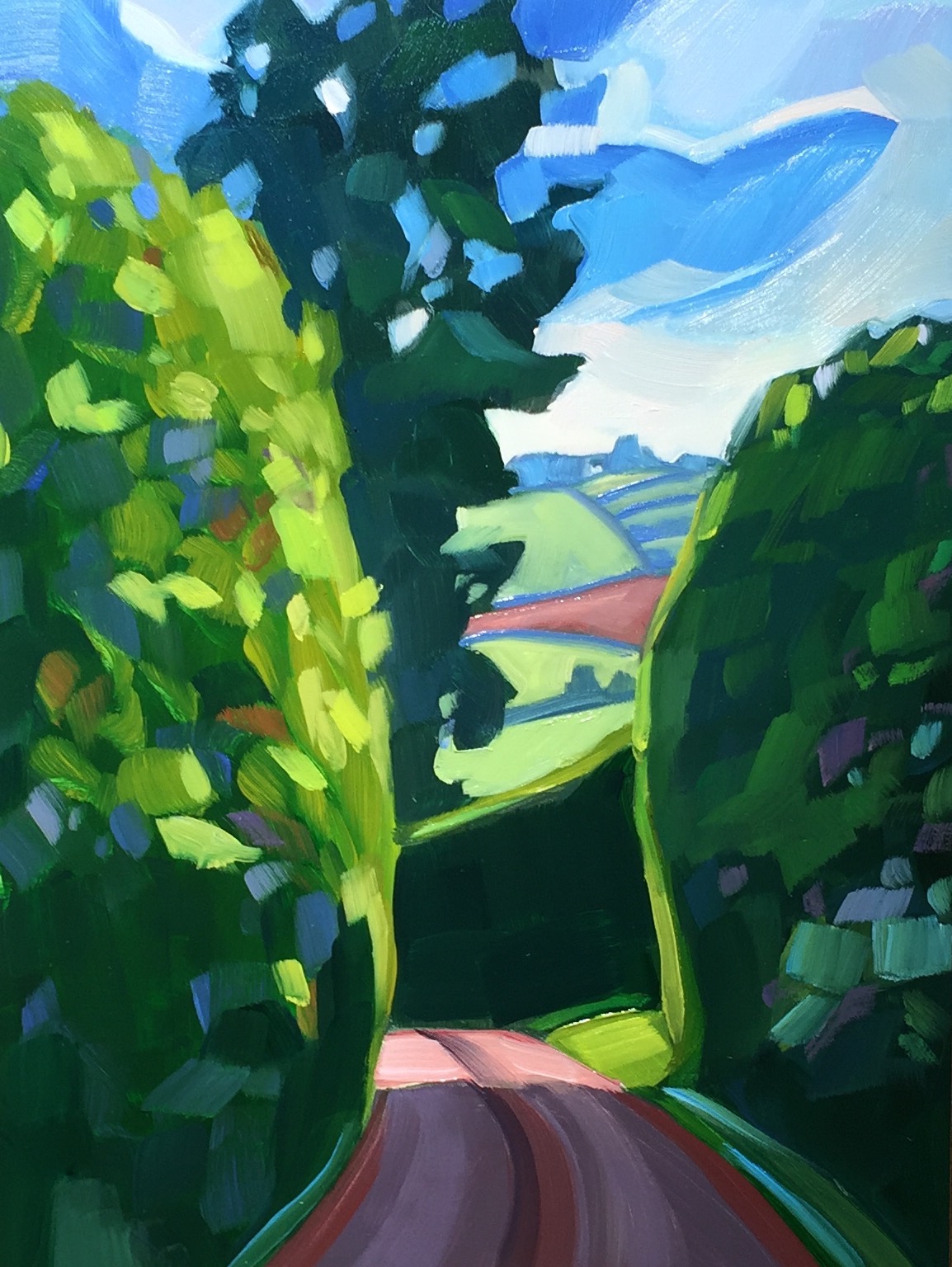 Somerset Summer