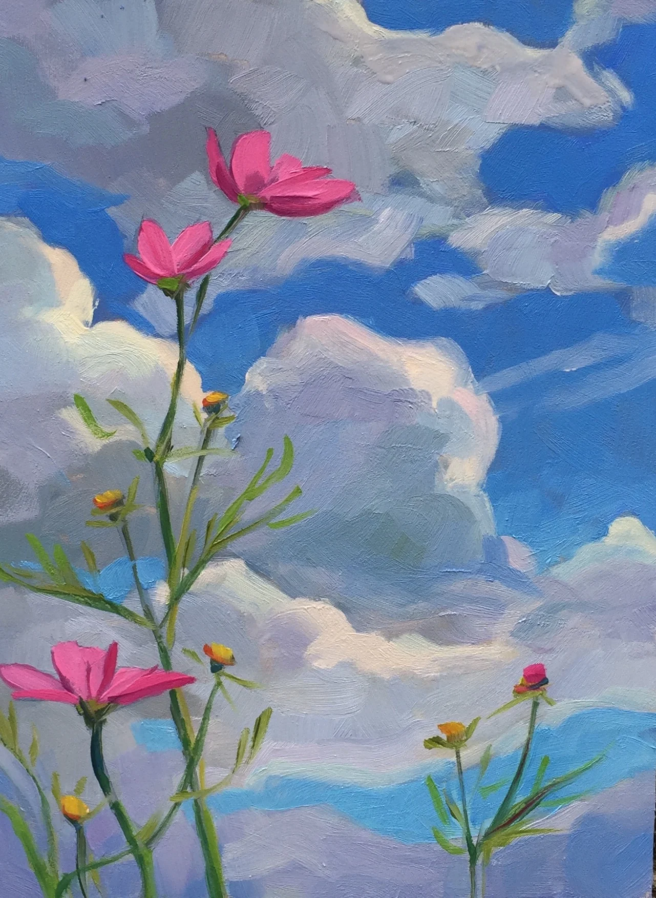 Cosmos and Cumulus