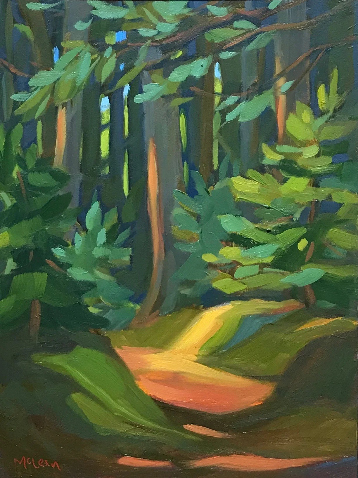 Cathedral Woods