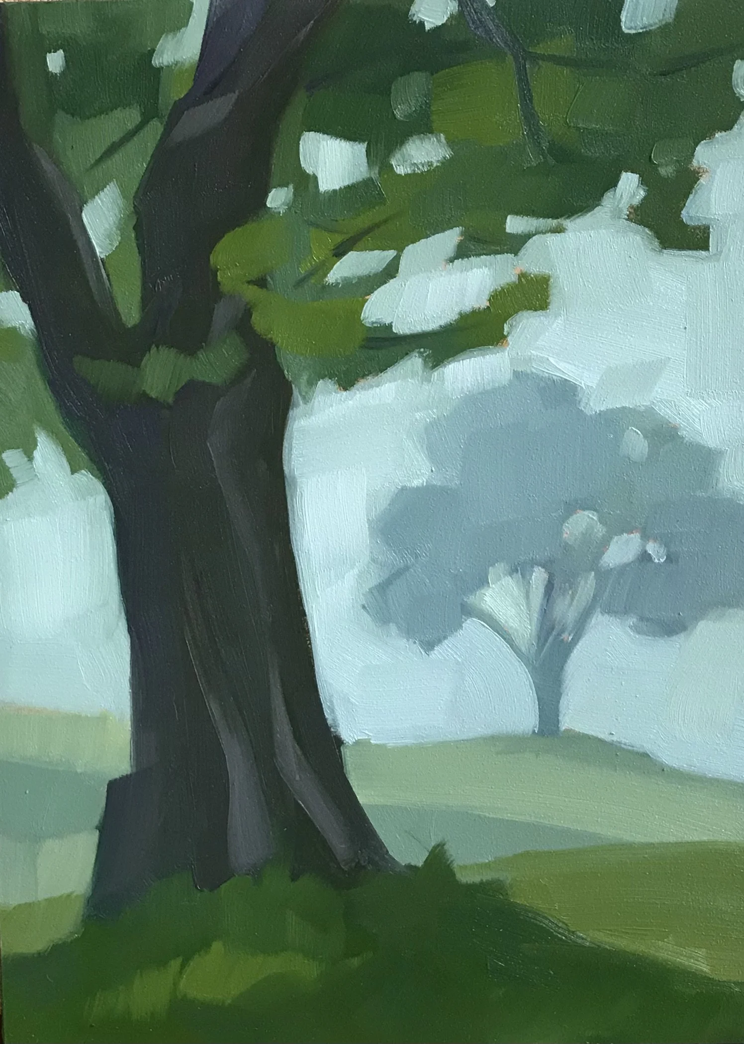 McLean_Meg_woods Hole Fog.jpeg