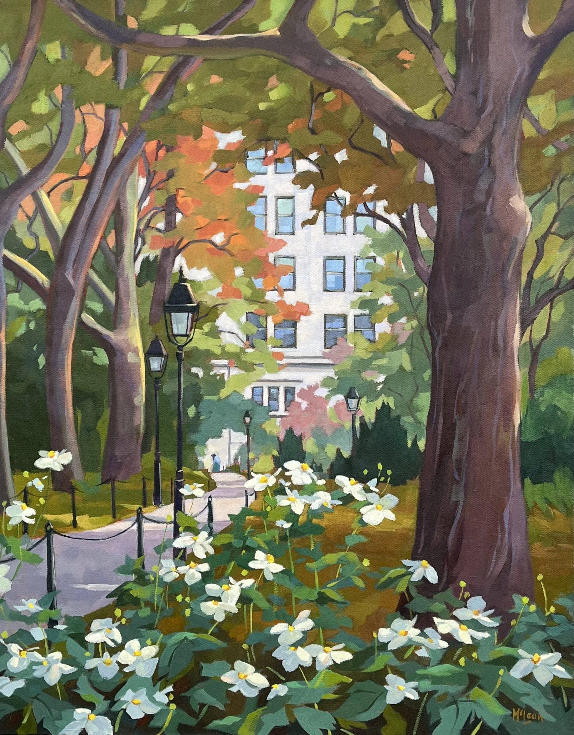 Anemones in Washington Square