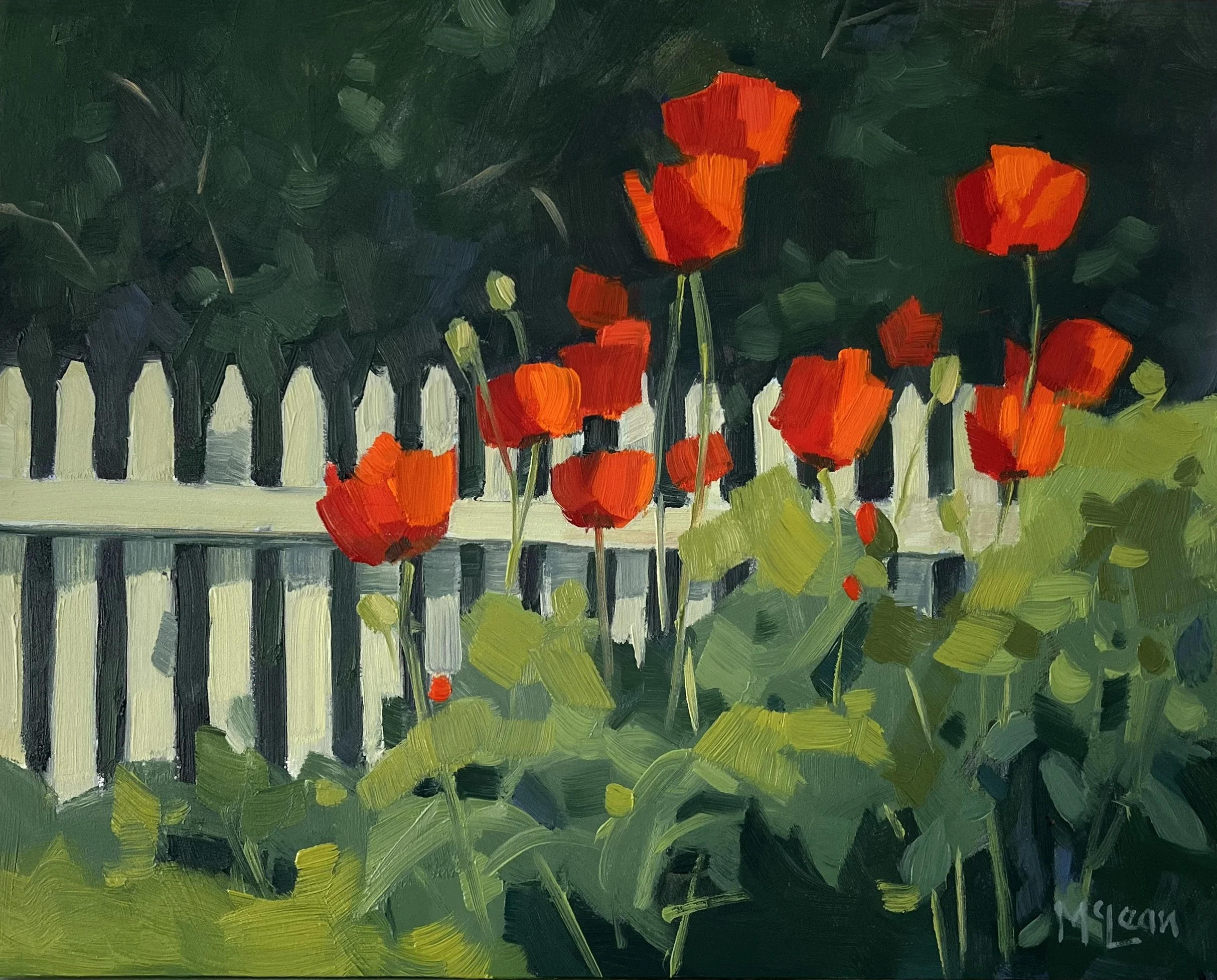 A Good Year for Poppies