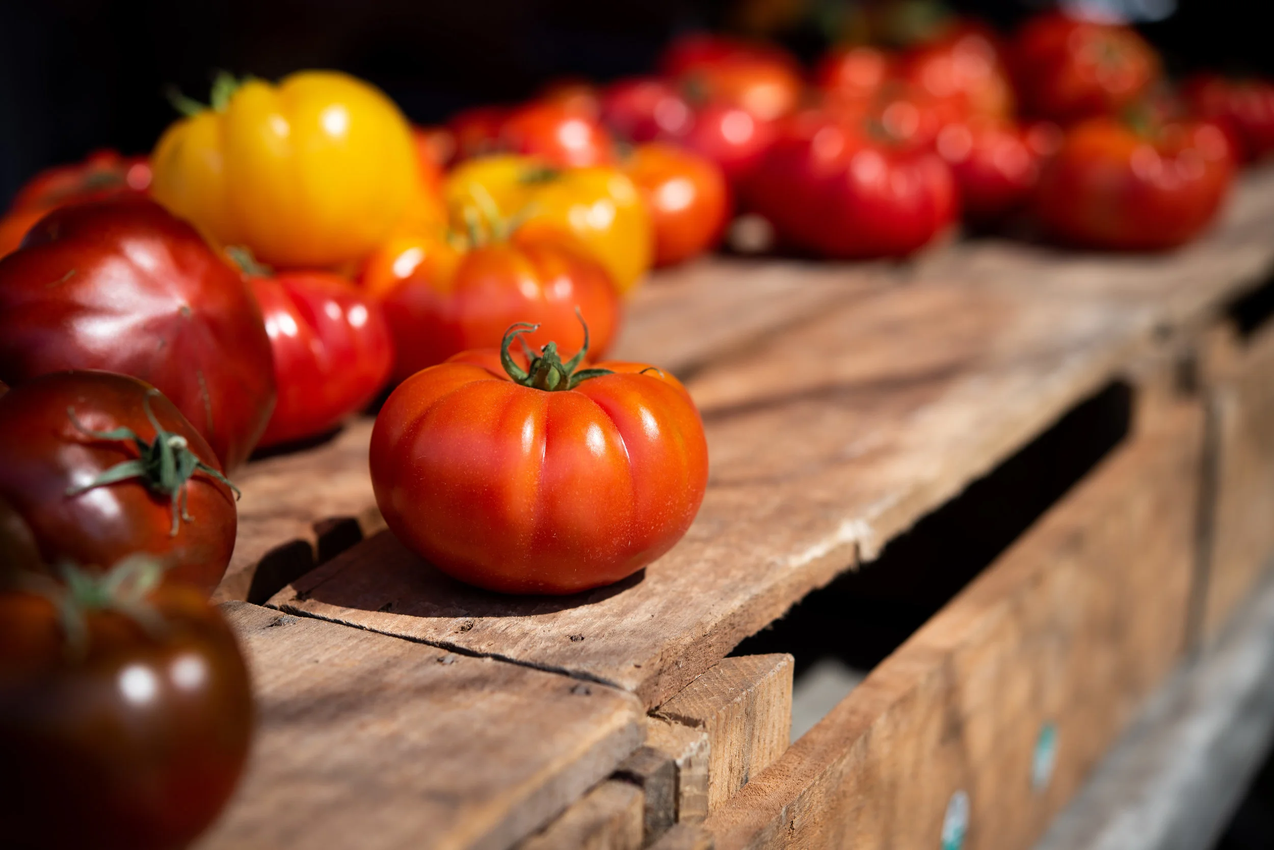 2018 Greenmarket-5.jpg