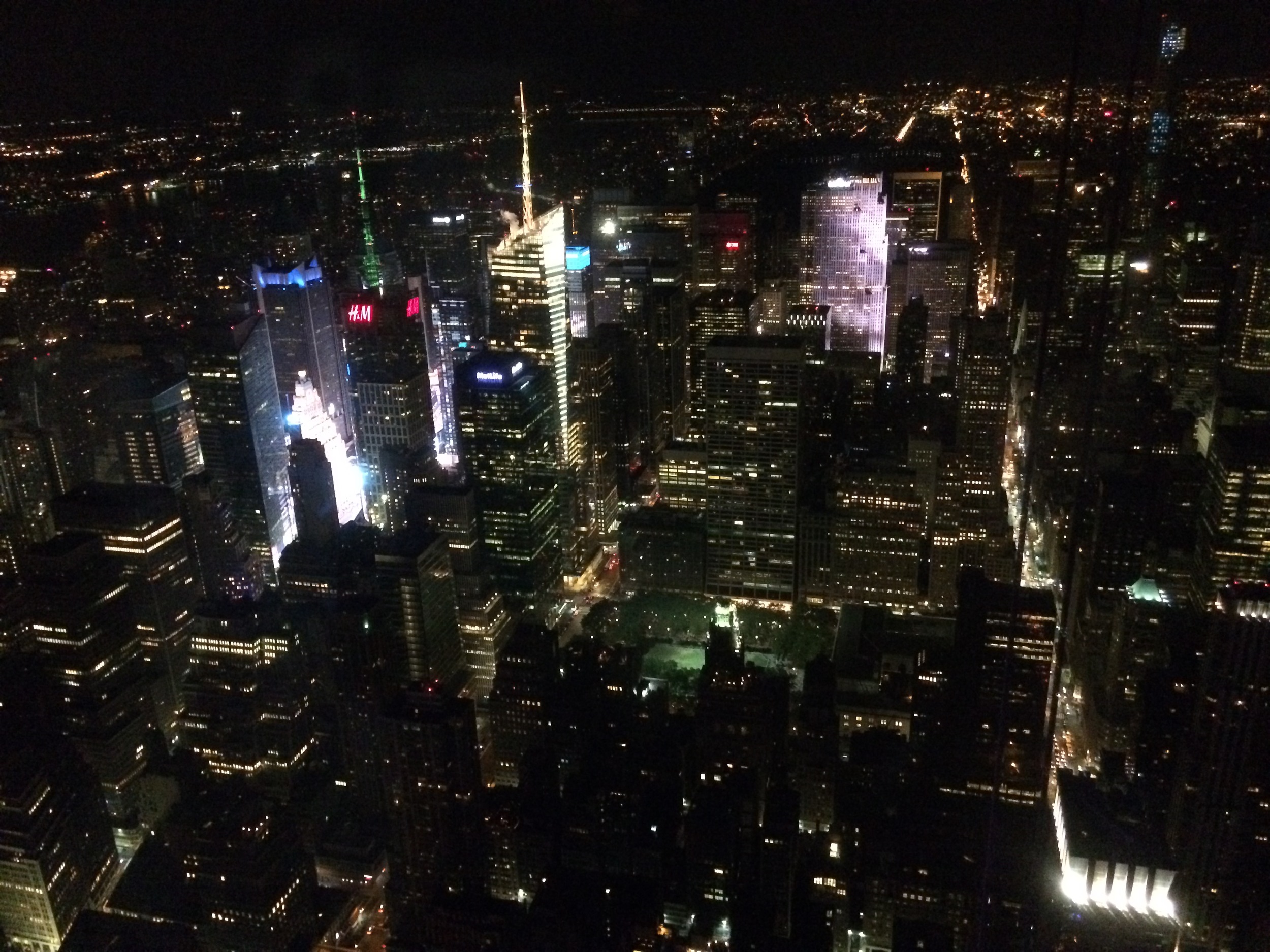 Times Square and Bryant Park from the top of The Empire State building