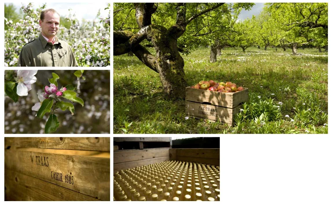 Darling_Apple_Farm2.jpg